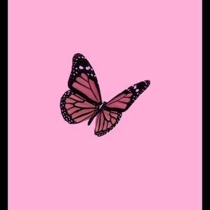 Meet your Posher, Mackenzie